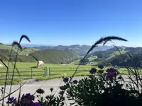 Bergwirtschaft Matzendörfer Stierenberg