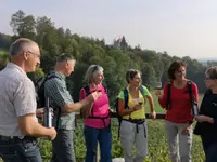 Weinbau Kaiserspan