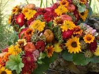 Blumen Zweerus