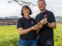 Soller Junghennen AG