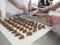 Zeller Chocolatier SA