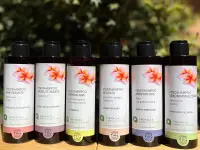 Farmacia San Salvatore SA