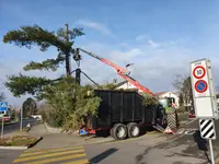 Vögtli Agrar-Forstservice GmbH - Klicken Sie, um das Bild 3 in einer Lightbox vergrössert darzustellen