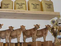 Caseificio del sole e Azienda Agricola Rigozzi