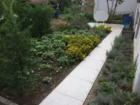 Stern Gartenbau AG