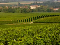 Domaine du Centaure - Klicken Sie, um das Bild 1 in einer Lightbox vergrössert darzustellen