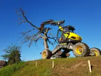 Gebrüder Straumann AG