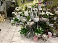 Blumengeschäft Efeulaube