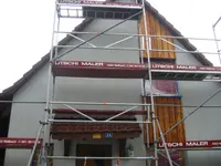 Litschi Maler