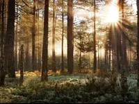 Bestattungsdienst Wasseramt GmbH