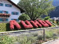 AUHOF Pflanzen Garten Blumen