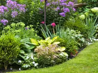 Strickler Blumen & Gärten AG