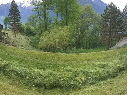 Biava Mattia - Giardiniere paesaggista - Klicken, um das Panorama Bild vergrössert darzustellen