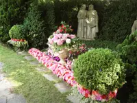 Blumen Vorderberg