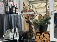 Getränkemärt Urs Rauch AG