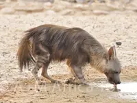 A + M Africa Tours GmbH