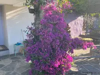 RICCI CHRISTIAN - GIARDINIERE