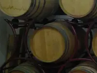 Cantina Böscioro
