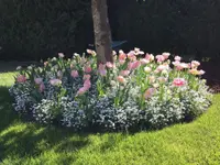 BV Jardins de Bellevue Sàrl