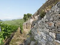 Evéquoz SA