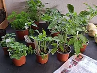 Marché Paysan Bühlmann