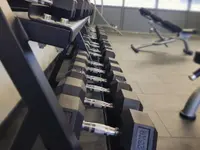 Ultimate Fight