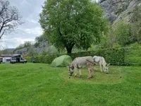 Camping du Val-de-Travers - Klicken Sie, um das Bild 21 in einer Lightbox vergrössert darzustellen