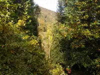 Galli Manuel