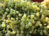 La Bottega Secondo Natura di Olivone