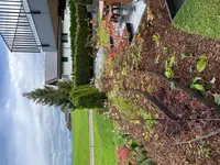 LUTZ Gartendesign