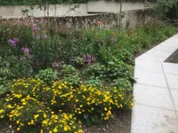 Stern Gartenbau AG