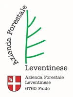 Logo Azienda Forestale Leventinese