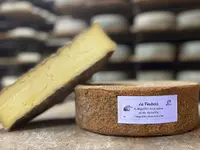 Azienda Agricola Ai Pianoi