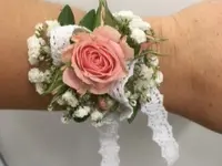 L'Univers Krebs Fleurs