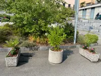 RICCI CHRISTIAN - GIARDINIERE