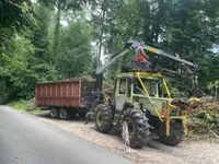 Vontobel Forst- und Gartenbau GmbH - Klicken Sie, um das Bild 26 in einer Lightbox vergrössert darzustellen