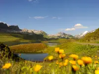 Elektrizitätswerk Obwalden - cliccare per ingrandire l’immagine 11 in una lightbox