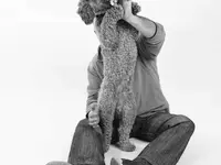 Studio72 Pascal Gerber Photographies