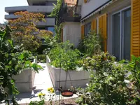 Widler Gartenbau GmbH