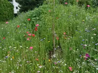 Jardin SA - Klicken Sie, um das Bild 12 in einer Lightbox vergrössert darzustellen