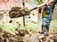 Brändli Gartenbau
