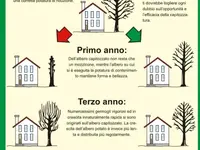 IdealFlora di Davide Gagliardini