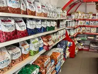 Qua la Zampa di Alessia Milani Termini