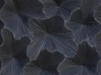 Antimo Bertolino