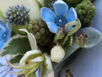 Lägere Blueme GmbH
