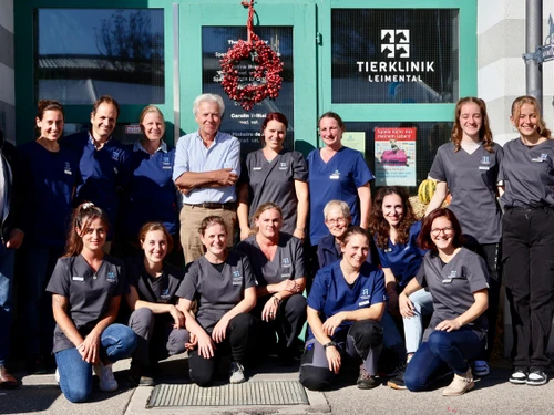 Tierklinik Leimental - Cliccare per ingrandire l’immagine panoramica