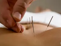 Praxis für TCM + Naturheilkunde / Sandra Dünki