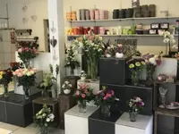 Blumen Zweerus