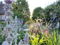Bärtschi Gartenbau AG