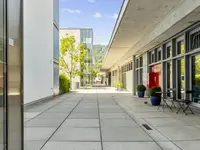 Chinesisches Therapiezentrum Adliswil
